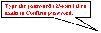 Rectangular Callout: Type the password 1234 and then again to Confirm password.